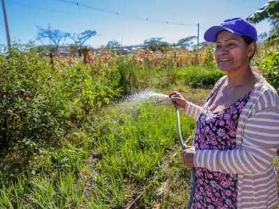 In Brazil’s capital, residents grow their own heat-fighting solutions