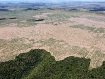 Who is responsible for protecting and preserving Indigenous cultures?