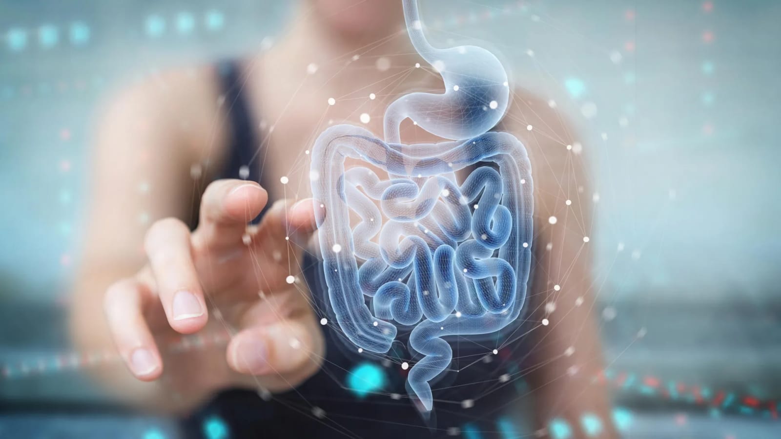 Scientists find a natural gut compound that helps heal the intestine