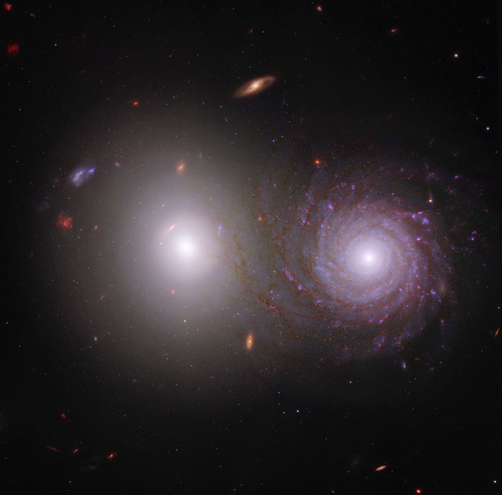 Help Overlap Zoo Reveal Cosmic Dust