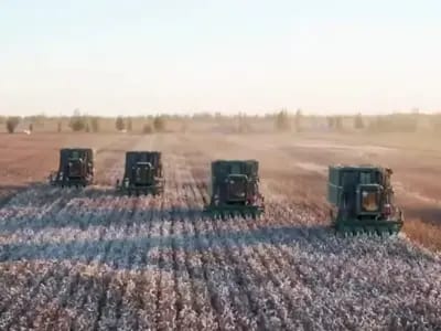 Nueva ley de algodón de China intensifica control sobre tierras y mano de obra de agricultores uigures