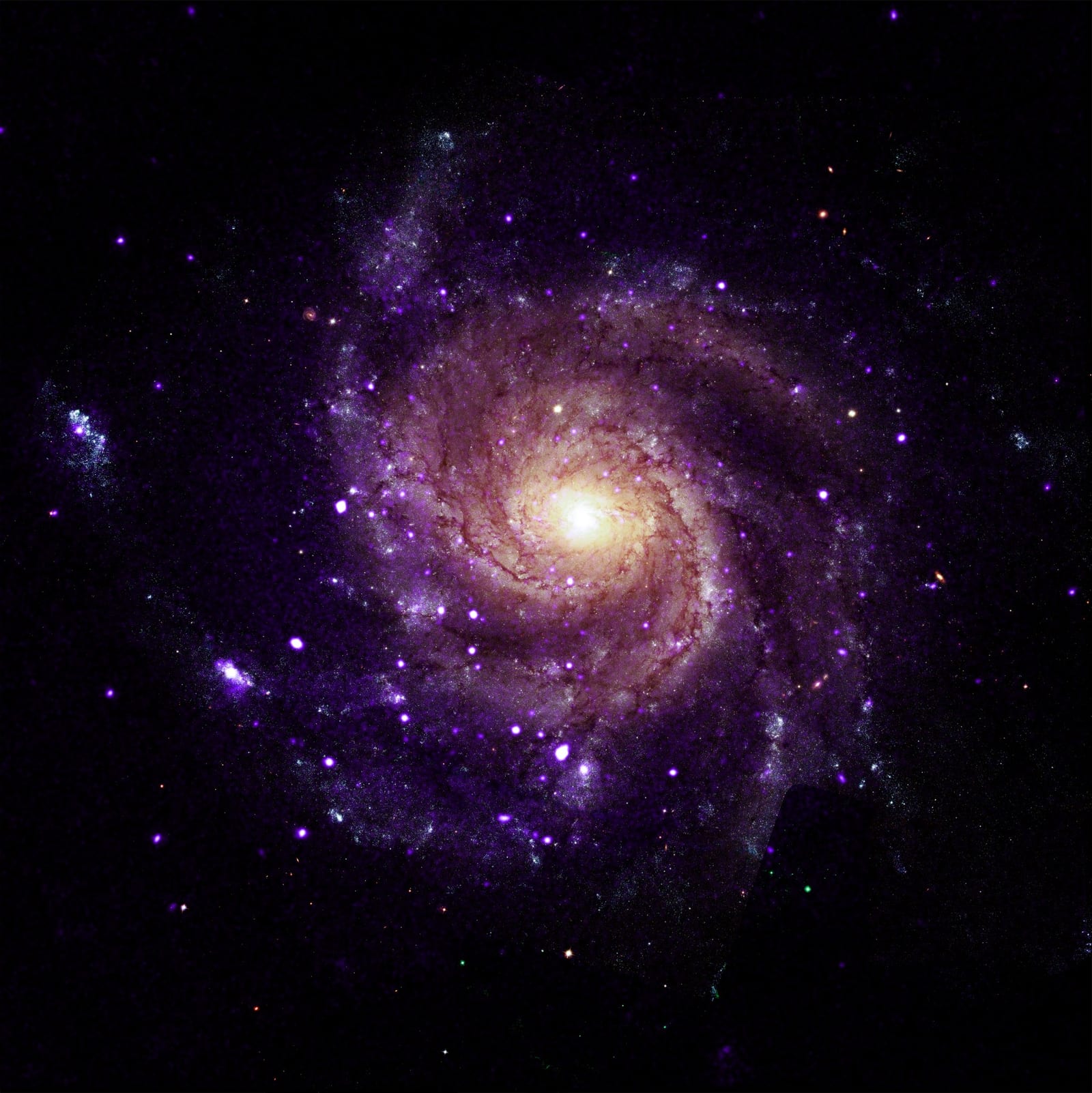 NASAS Chandra trouve des objets inhabituels dans Pinwheel Galaxy