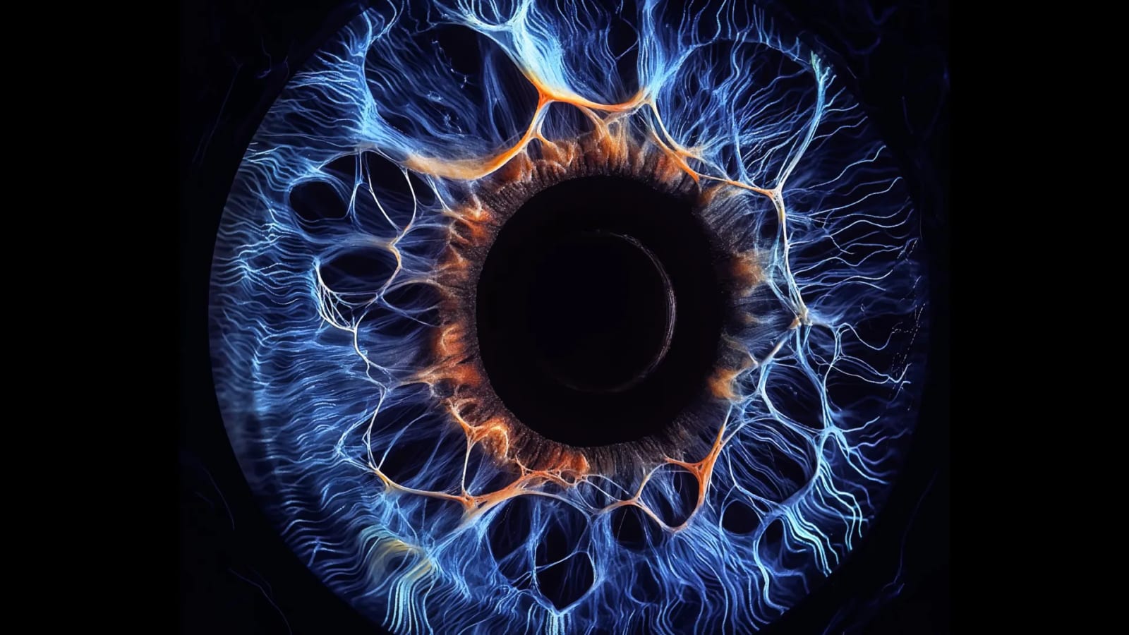 Scientists find a hidden retinal defense against vision loss