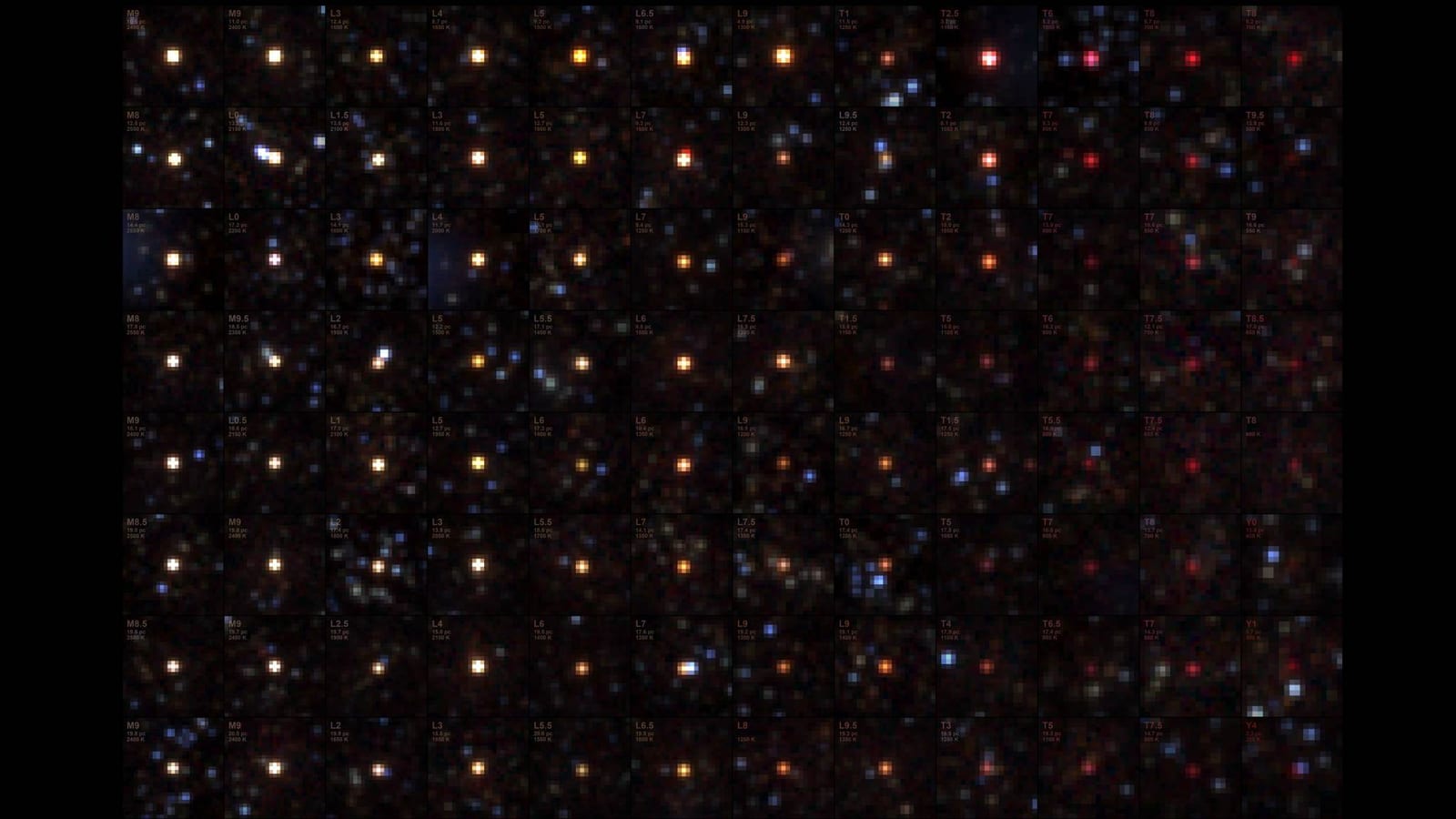 NASA’s SPHEREx Telescope Sees Menagerie of Brown Dwarfs