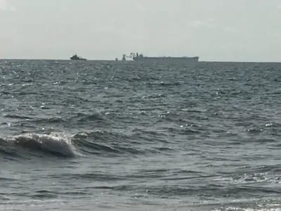 Fish scarcity, tar balls, and stranded dolphins: The hidden costs of offshore platforms in Cameroon waters
